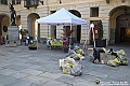 VBS_0942 - Puliamo insieme 2025